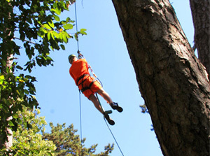 Jungle Adventure Park san zeno montagna