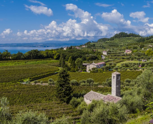 Cammino del Bardolino